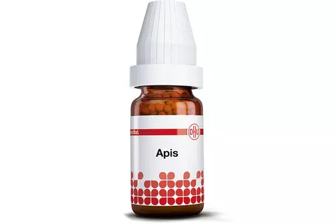 Apis