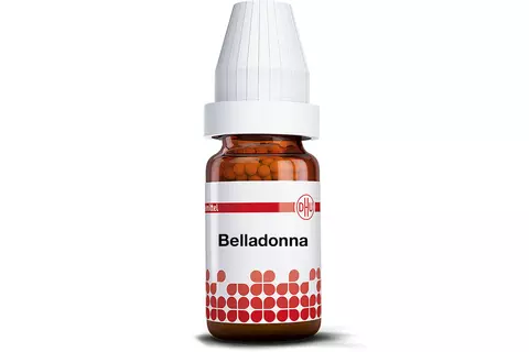 Belladonna