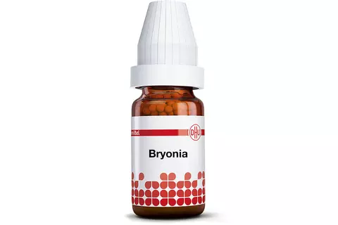 Bryonia