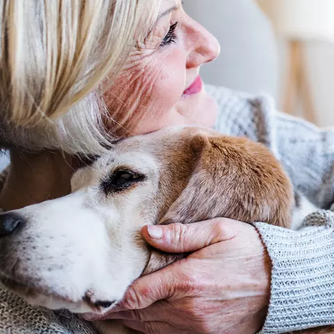 Frau liegt mit Hund im Arm auf der Couch